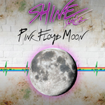 Pink Floyd Moon