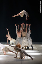 Bolero e L'Uccello di Fuoco - DANZA - Le Ballet de L'opera Grand Avignon -coreografie Hervé Koubi e Edouard Hue - Giovedì 4 aprile